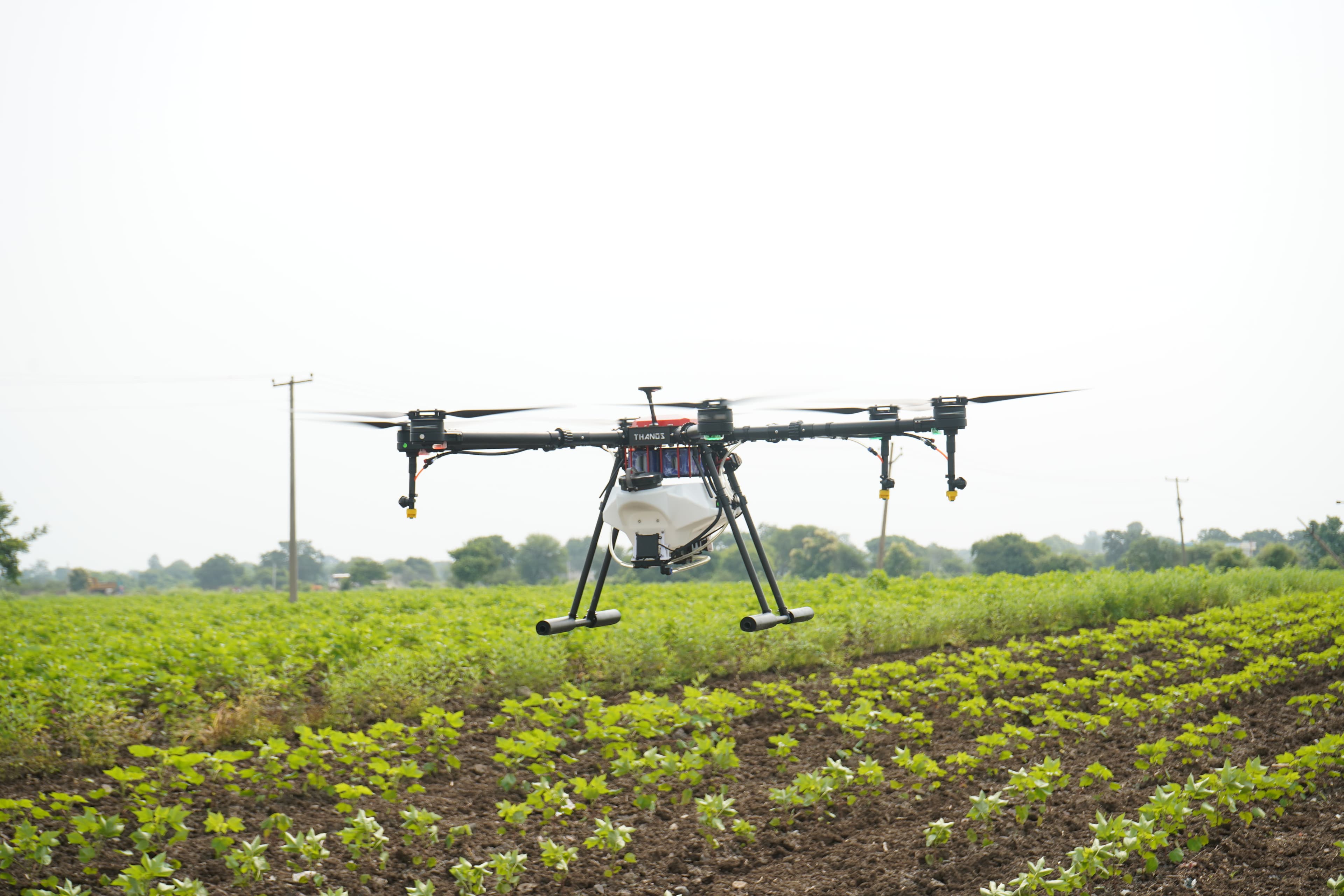 An agricultural drone spraying a young crop field